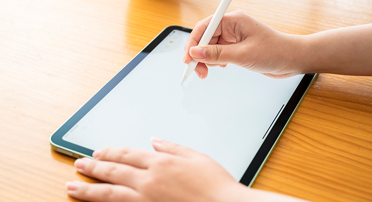 iPad̗eʖ͊OtHDDŉIgpł鐻ȉ́H