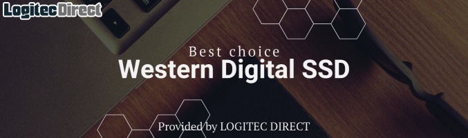 Western Digital SSD