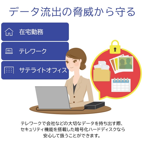 セキュリティ対策 WD Red Plus搭載 暗号化ハードディスク 4TB HDD 外付け Windows用 USB3.2 Gen1（USB3.0）【LHD-EN40U3BSR】