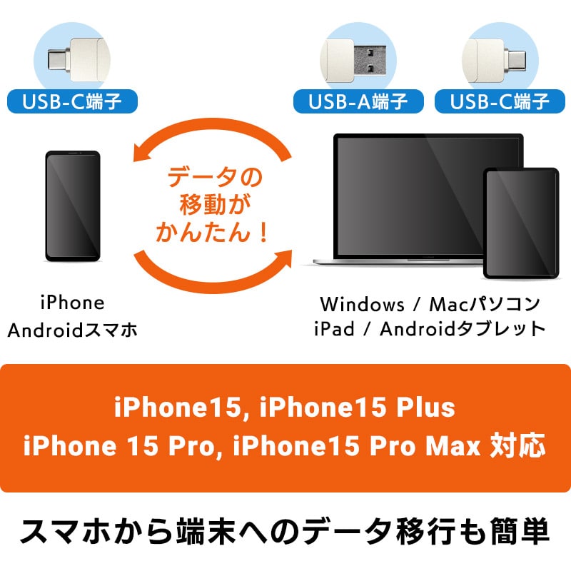 SSD 外付け 1TB USB Type-A / USB Type-C 両挿し スティック型 コンパクト USBメモリサイズ USB3.2 Gen2 iPhone15 / 16 / 16Pro PS4 PS5 PS5Pro 動作確認済 LMD-SPE100UAC