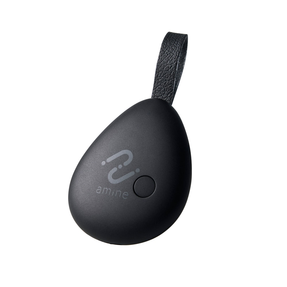 iPhone 紛失防止タグ/スマートタグ