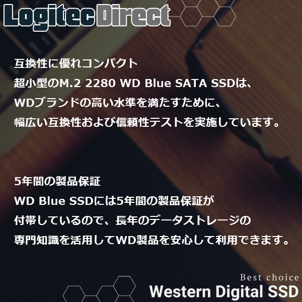 WD Blue SATA SSD M.2 2280 250GB WDS250G2B0B
